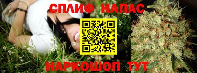 дживик Кимры
