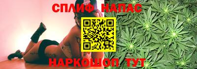 дживик Кимры