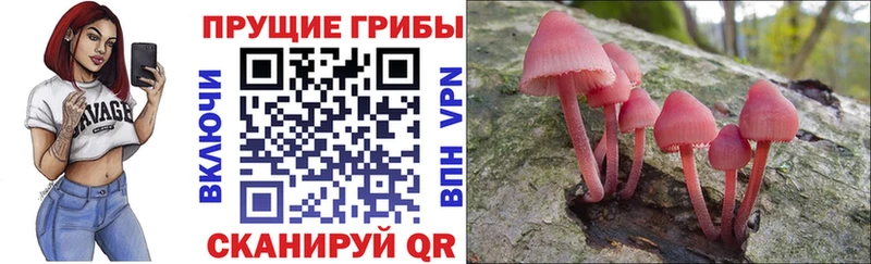 Галлюциногенные грибы мицелий  закладки  Глазов 