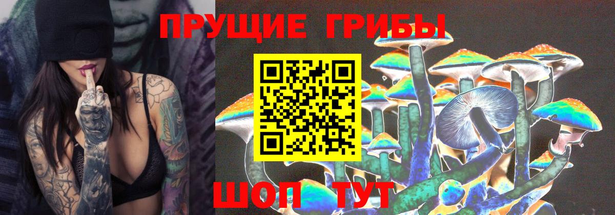 Псилоцибиновые грибы Psilocybine cubensis Глазов