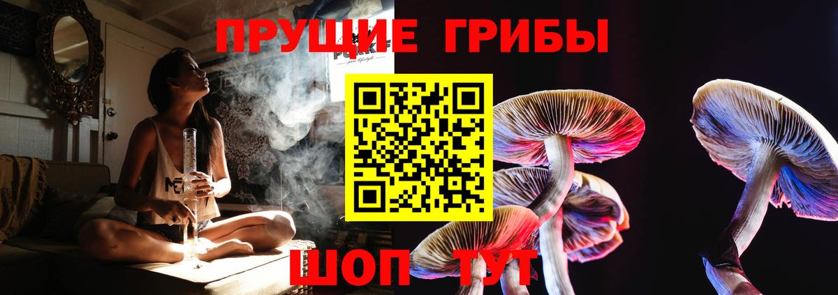 Глазов  Галлюциногенные грибы Psilocybine cubensis  купить закладку  Вход с VPN 